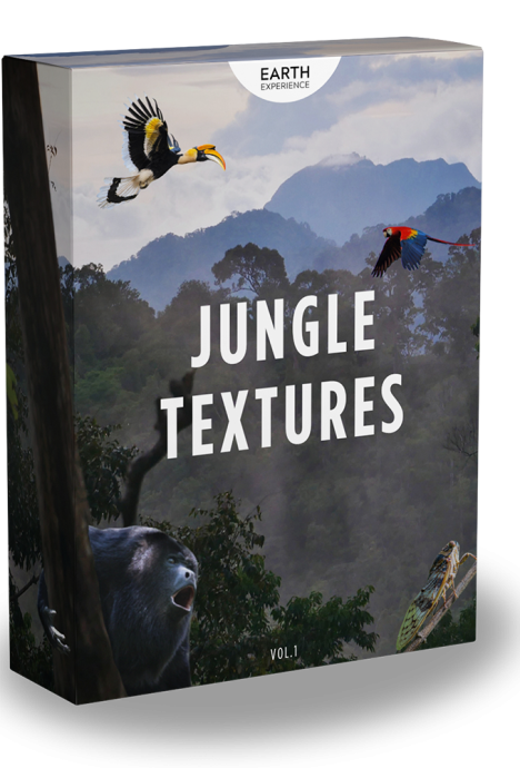 Jungle_Textures_Sound_Library_Cover_Fx