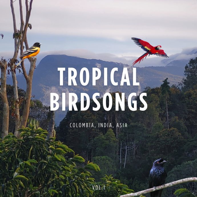 Tropical_Birdsongs_Album_Vol1